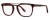 Colour Choice: Tortoiseshell (01),  Frame Size (mm): Eye Size: <b>53</b> Bridge Size: <b>21</b> Sides: <b>140</b>