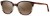 Colour Choice: Brown Striation (C1) 🕶 (Brown Graduated Lens),  Frame Size (mm): Eye Size: <b>51</b> Bridge Size: <b>17</b> Sides: <b>135</b>