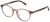 Colour Choice: Shiny Transparent Light Brown (09DL),  Frame Size (mm): Eye Size: <b>49</b> Bridge Size: <b>18</b> Sides: <b>135</b>