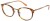 Colour Choice: Gloss Tort & Sundial Orange / Bronze (102),  Frame Size (mm): Eye Size: <b>49</b> Bridge Size: <b>20</b> Sides: <b>140</b>