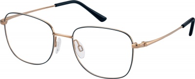 CHARMANT TITANIUM PERFECTION CH 29813 Prescription Glasses