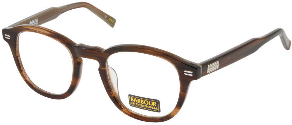 mens barbour glasses