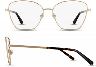 ASPINAL OF LONDON ASP L555 Designer Frames