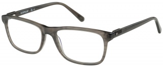 CAT CTO 3019 Glasses