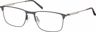 CHARMANT TITANIUM PERFECTION CH 29719 Glasses