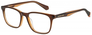 SUPERDRY 3005 Glasses