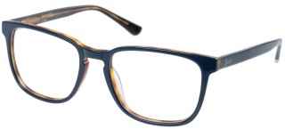 SUPERDRY 'BARNABY' Prescription Glasses