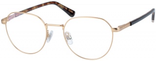 SUPERDRY 'SCHOLAR' Glasses
